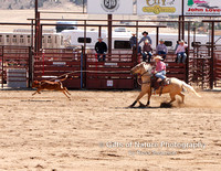 Calf Roping The Catch -#5920