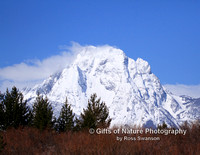 Tetons - #5902