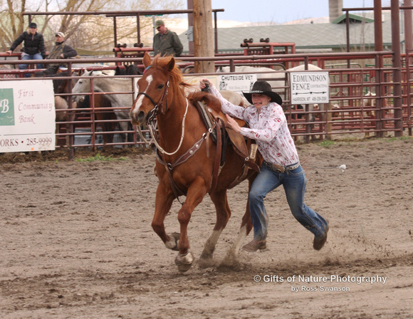 Dismount for Goat Tying - #0665