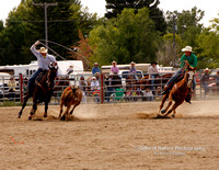 Team Roping Making the Turn - #3014