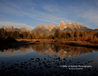 Teton Reflection - #9837