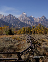 Tetons View With Jack Leg Fence - #0033