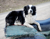 Gus on 4 Wheeler - #PA010357