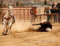 Steer Wrestling - the Wreck - #1381