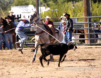 Calf Roping Dismount - #9490