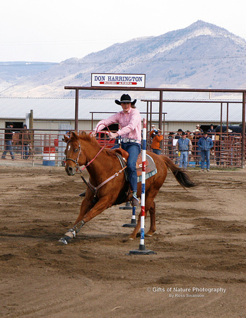 Pole Bending Lexi Davis - #