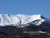 Mt Haggin in Winter - #5307