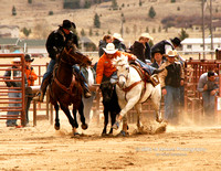 Steer Wrestling Jump - #1377