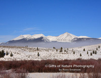 Pintlar Mtns with Valley Fog - #0625