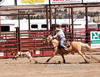 Calf Roping The Chase - #5580