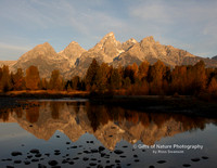 Teton Reflection - #9818