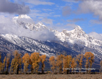 Teton Ranghe in Clouds - #3796