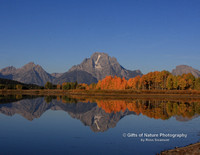Oxbow Bend Reflection - #0339